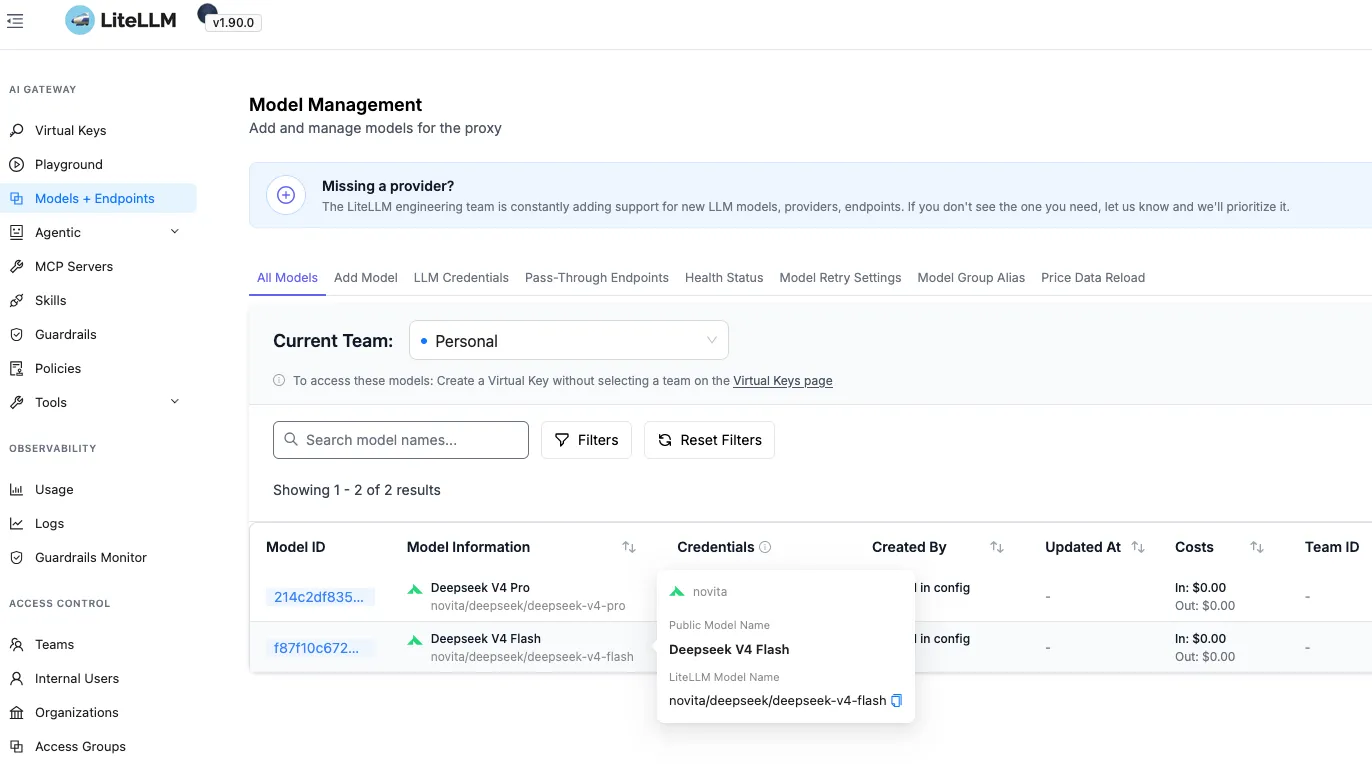 LiteLLM UI Models